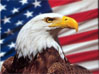 USA Eagle Flag