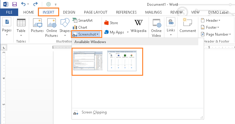 Microsoft Word - Insert Screenshot